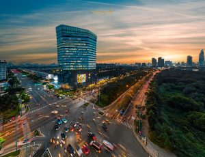 Thương mại và Dịch vụ (THISO) 